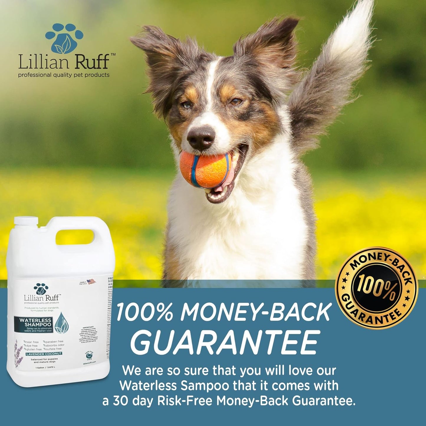 Waterless No-Rinse Dog Dry Shampoo Spray with Hydrating Essential Oils - Ph-Balanced Dry Shampoo for Dogs - Clean, Condition, Detangle & Deodorize Dry, Sensitive Skin (Gallon)