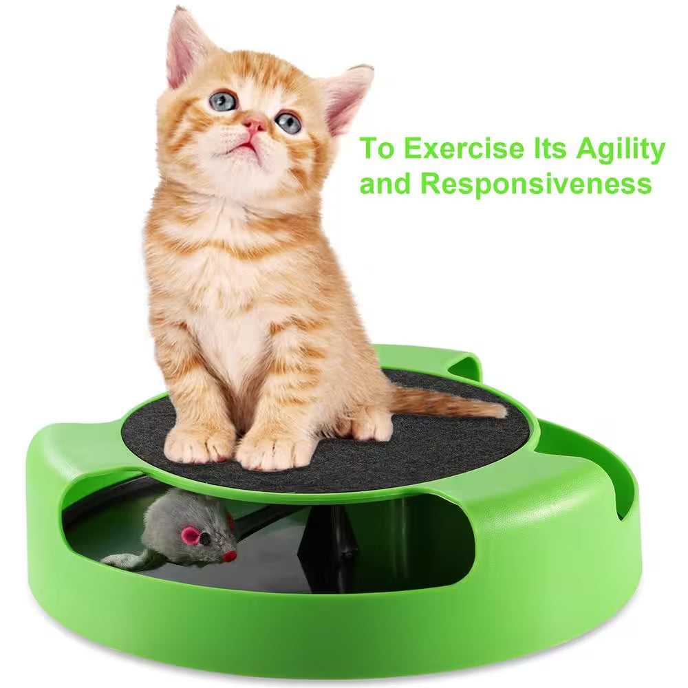 Cat Interactive Scratching Toy