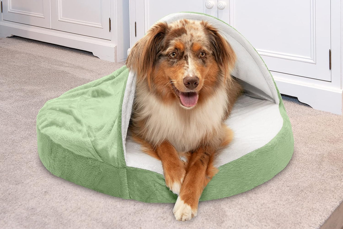 26" round Orthopedic Dog Bed for Medium/Small Dogs W/ Removable Washable Cover, for Dogs up to 30 Lbs - Microvelvet Snuggery - Sage (Green), 26-Inch