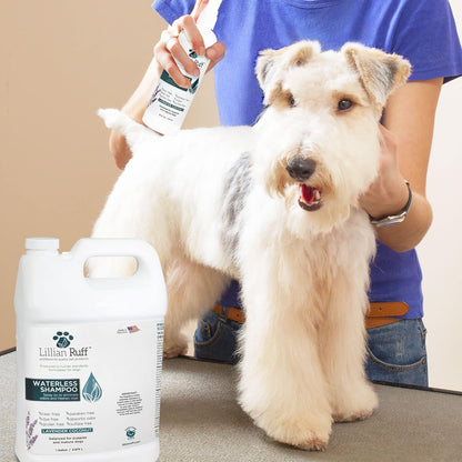Waterless No-Rinse Dog Dry Shampoo Spray with Hydrating Essential Oils - Ph-Balanced Dry Shampoo for Dogs - Clean, Condition, Detangle & Deodorize Dry, Sensitive Skin (Gallon)