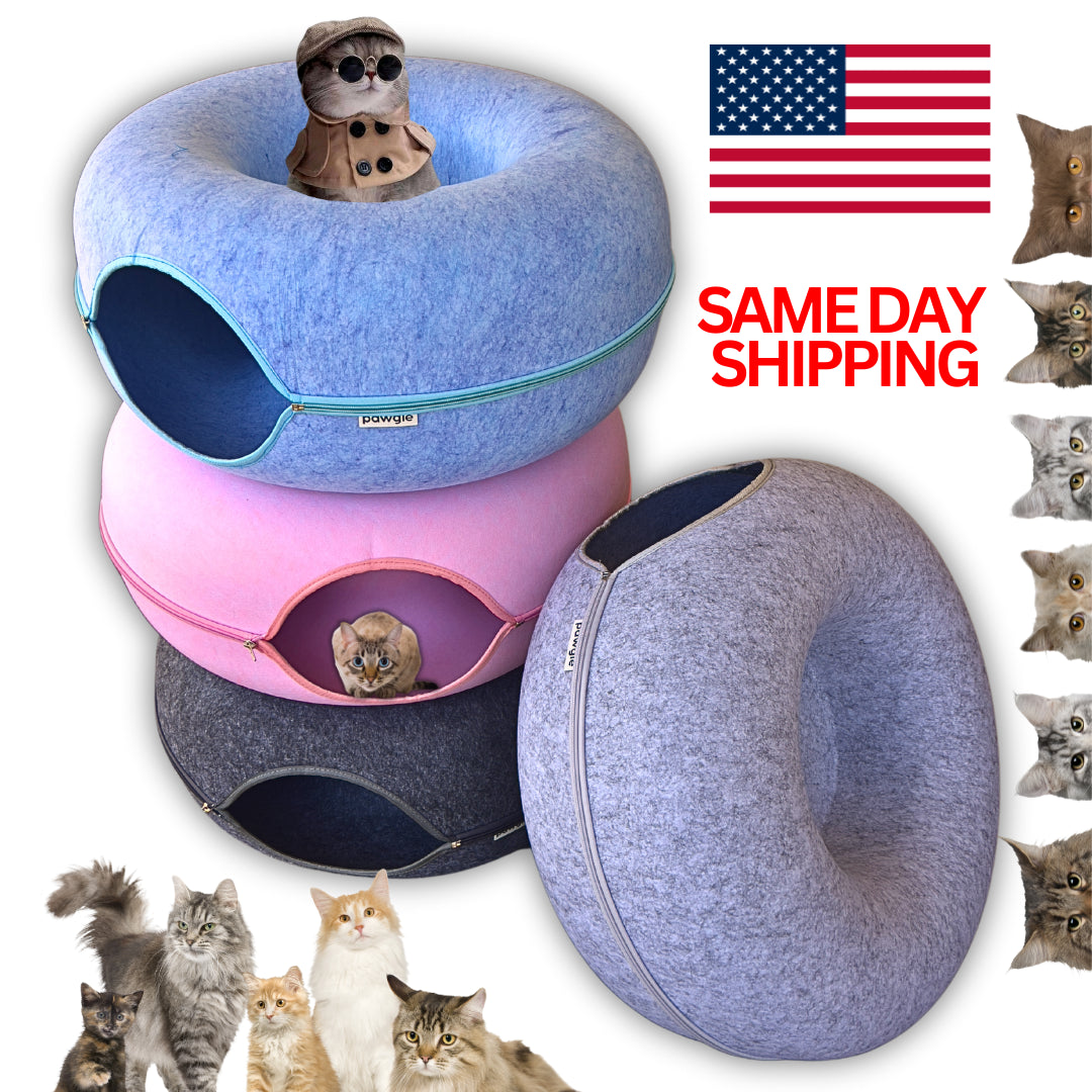 Cat Tunnel Bed Cave Toy Interactive Plush Condo Kennel Nest Cat Bed Donut Tube