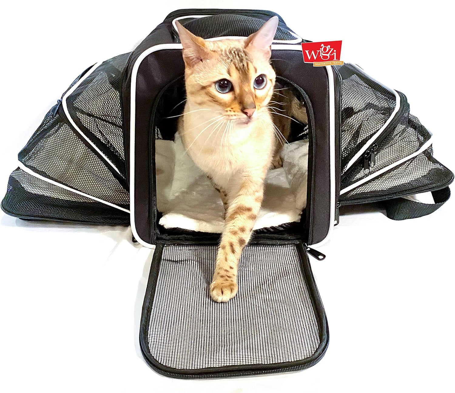Expandable Pet Travel Carrier for Cats, Small Dogs and Pets up to 20Lbs with Rechargeable Interior LED Light - TSA Airline Approved, Expandable Soft Sided Walls, 4-Doors and Removable Padding