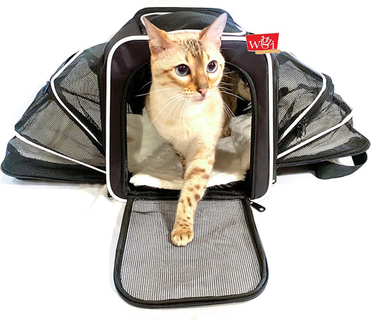 Expandable Pet Travel Carrier for Cats, Small Dogs and Pets up to 20Lbs with Rechargeable Interior LED Light - TSA Airline Approved, Expandable Soft Sided Walls, 4-Doors and Removable Padding