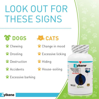 Zylkene Calming Support Supplement for Large Dogs 33-132Lbs, Helps Promote Relaxation and Reduce External Stress Factors, Daily Behavioral Support and Anxiety Relief for Dogs, 450Mg