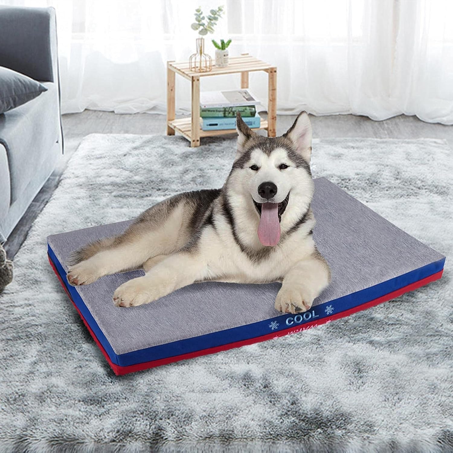 Dog Bed, Waterproof,Warm & Cool Sides, Massage Function with 3 Inches Egg Crate Foam,With Removable Washable Cover,Firm Support Pet Bed Mat,30×19×3 Inches