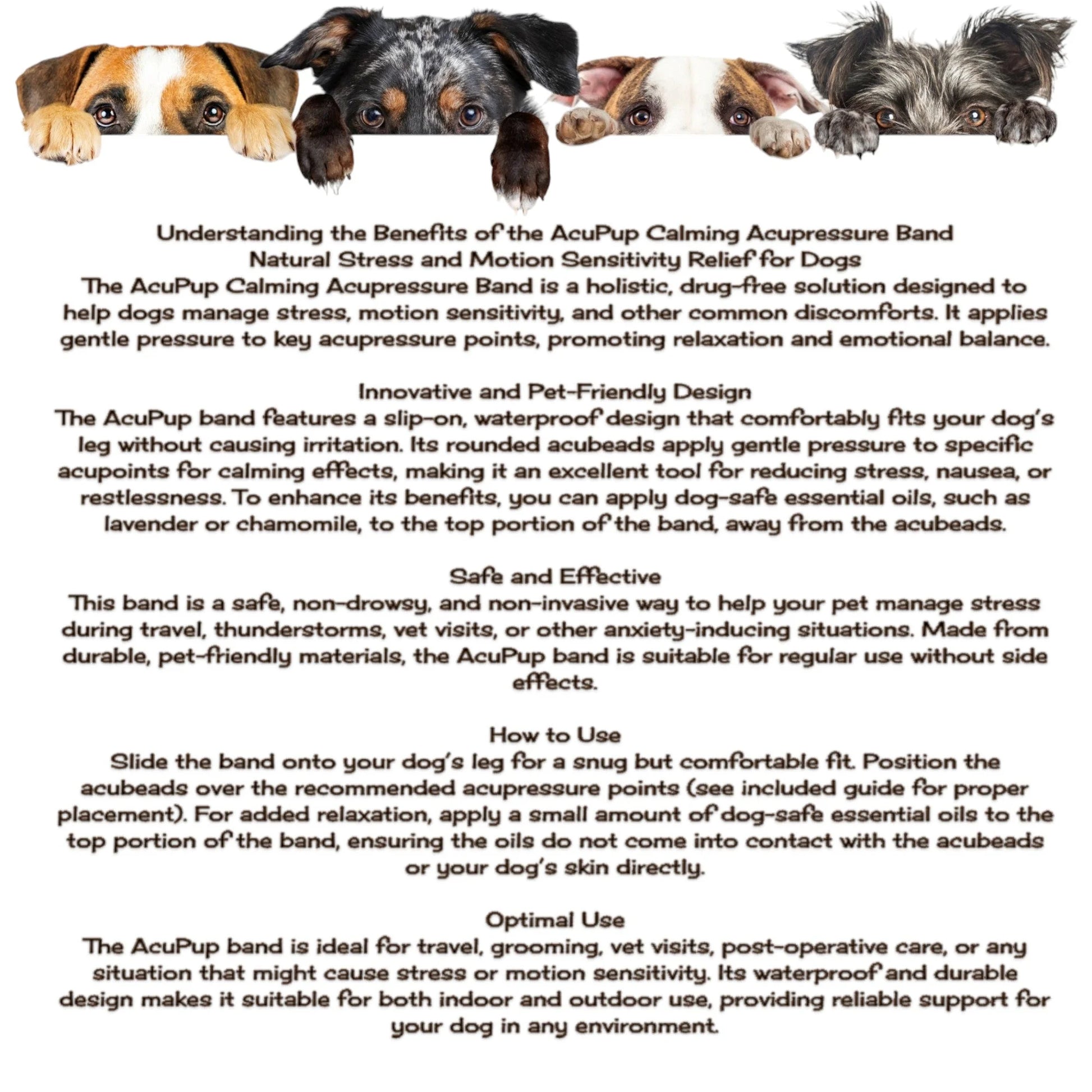 Natural Calming Motion Comfort Band for Dogs- Stress, Behavior (X-Large6, Fourcolorpack)